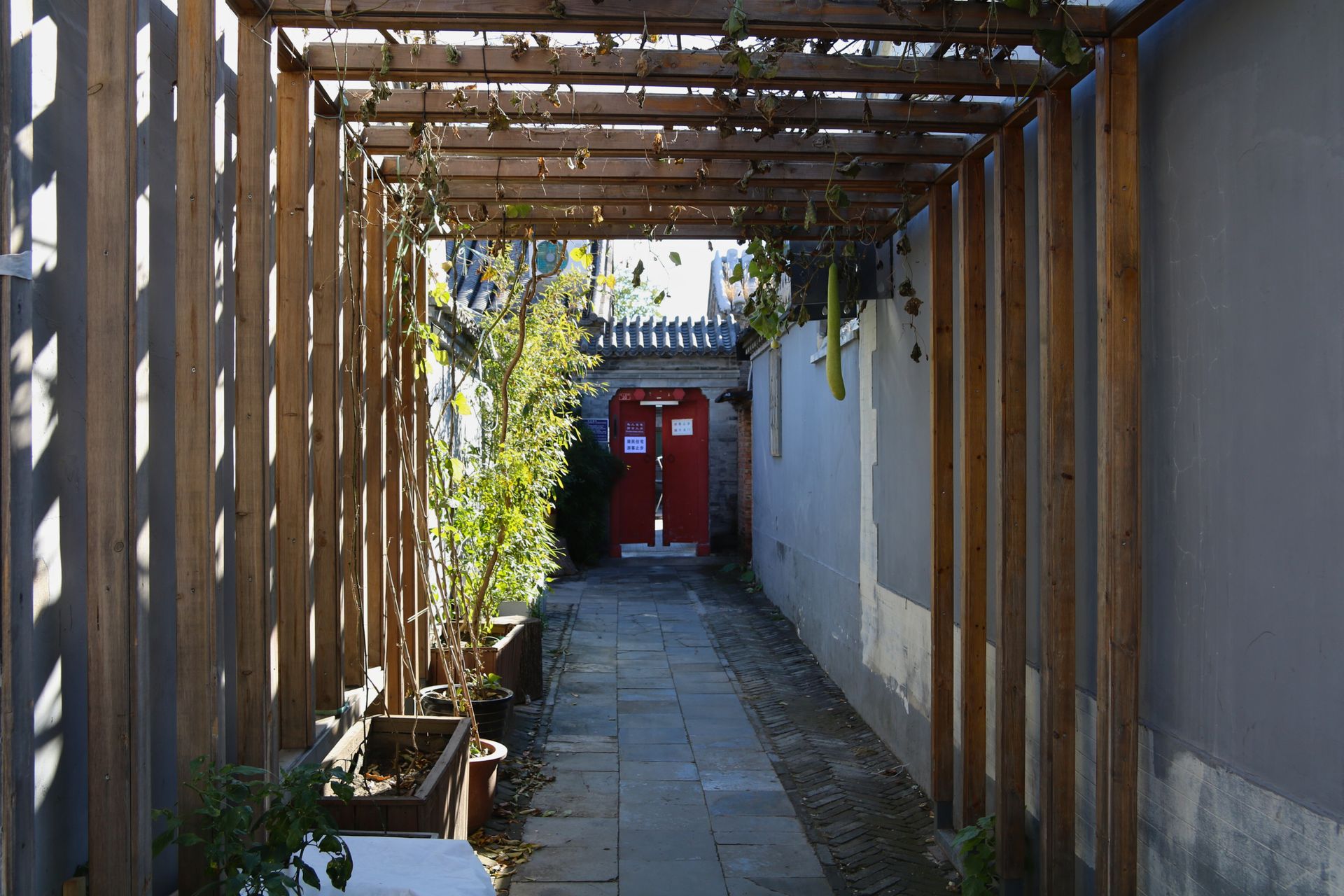 A quiet hutong alley in the evening light