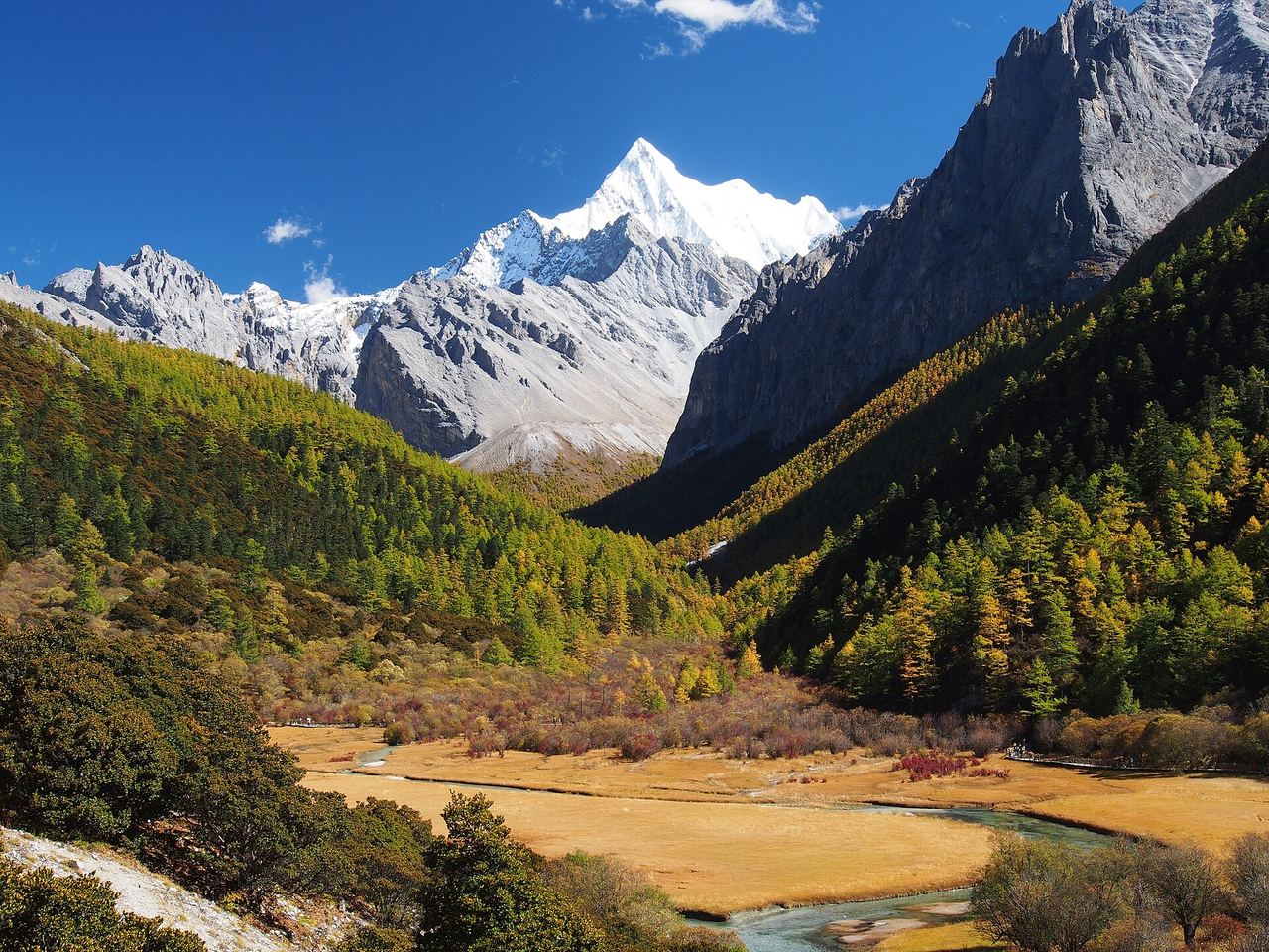 Chanadorje seen across the Chonggu grassland