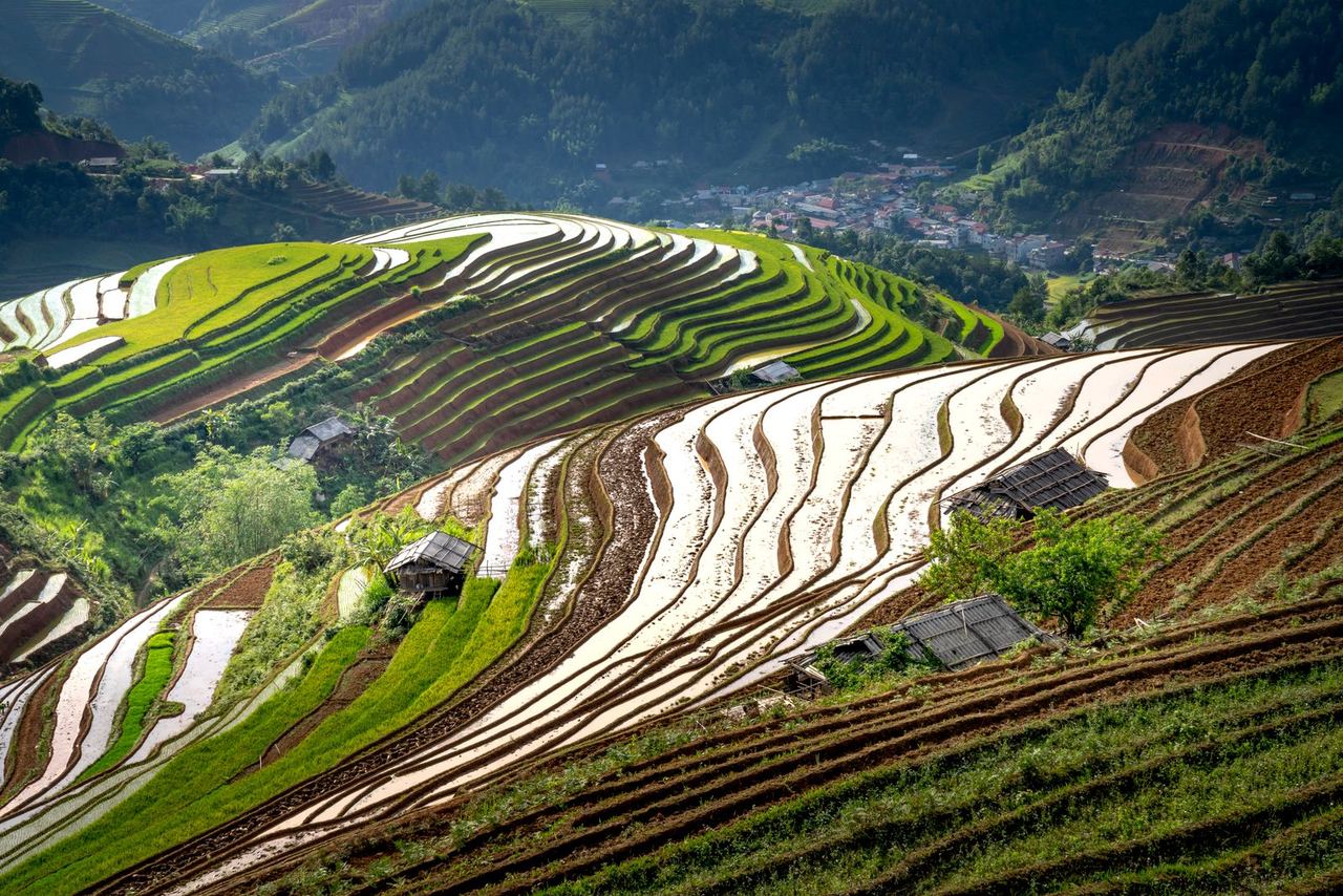 The Longji Rice Terraces, carved into the mountainside in steps