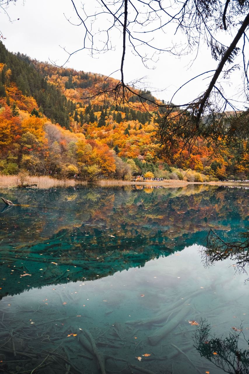 Autumn colour doubled on the surface of a Jiuzhaigou lake