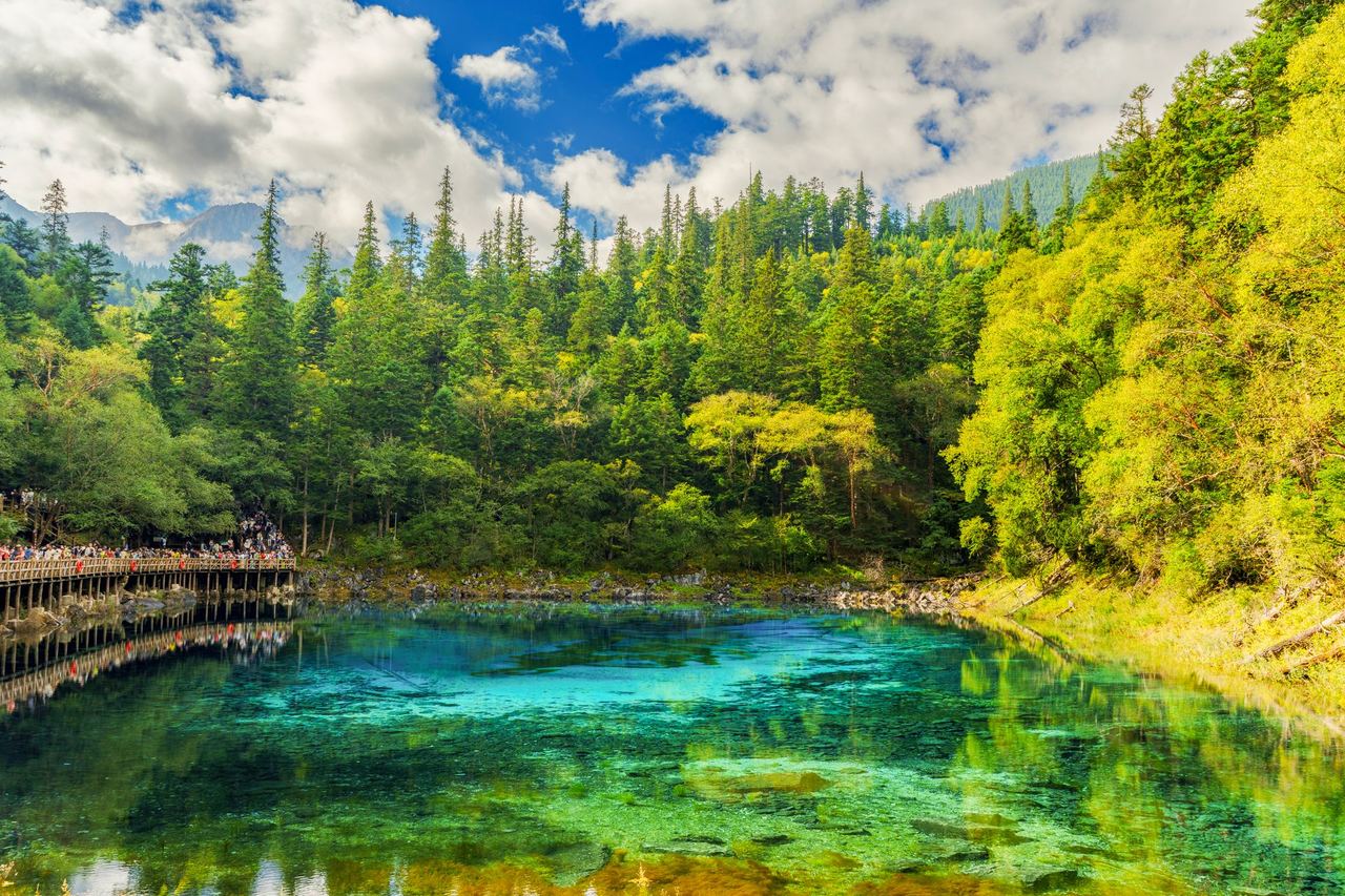 A boardwalk-level view of Five Flower Lake, the valley’s best-known pool of colour