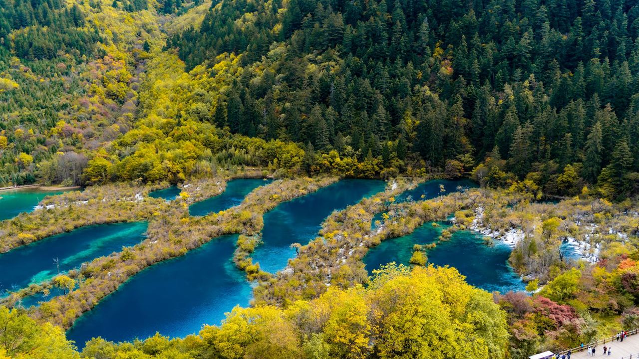 An aerial view of Jiuzhaigou’s turquoise lakes threaded with autumn colour