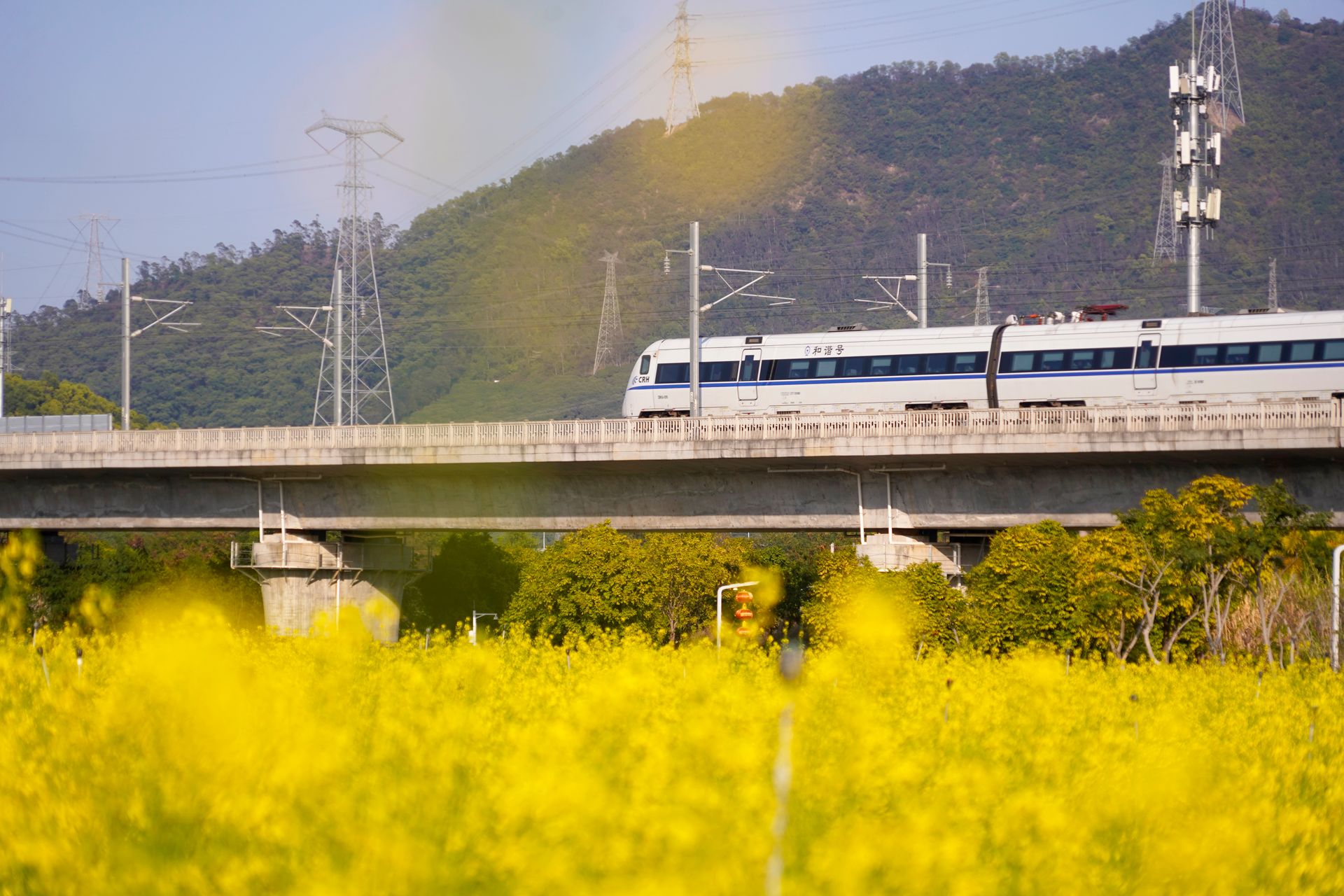 A high-speed train crossing a viaduct through green countryside