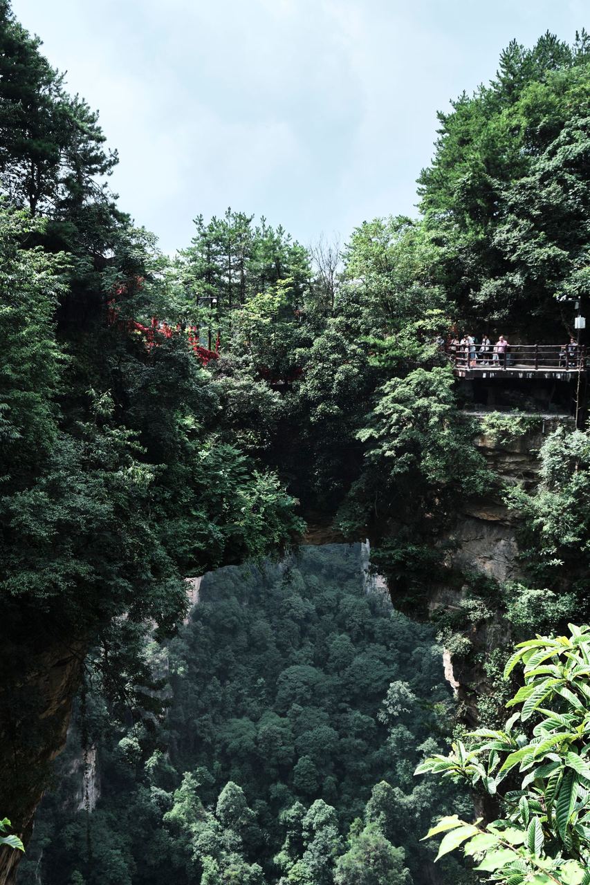 First Bridge Under Heaven, the natural stone arch at Yuanjiajie