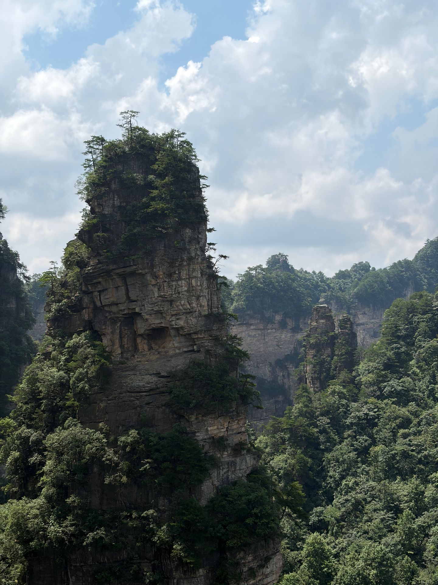 Sandstone peaks above the forest